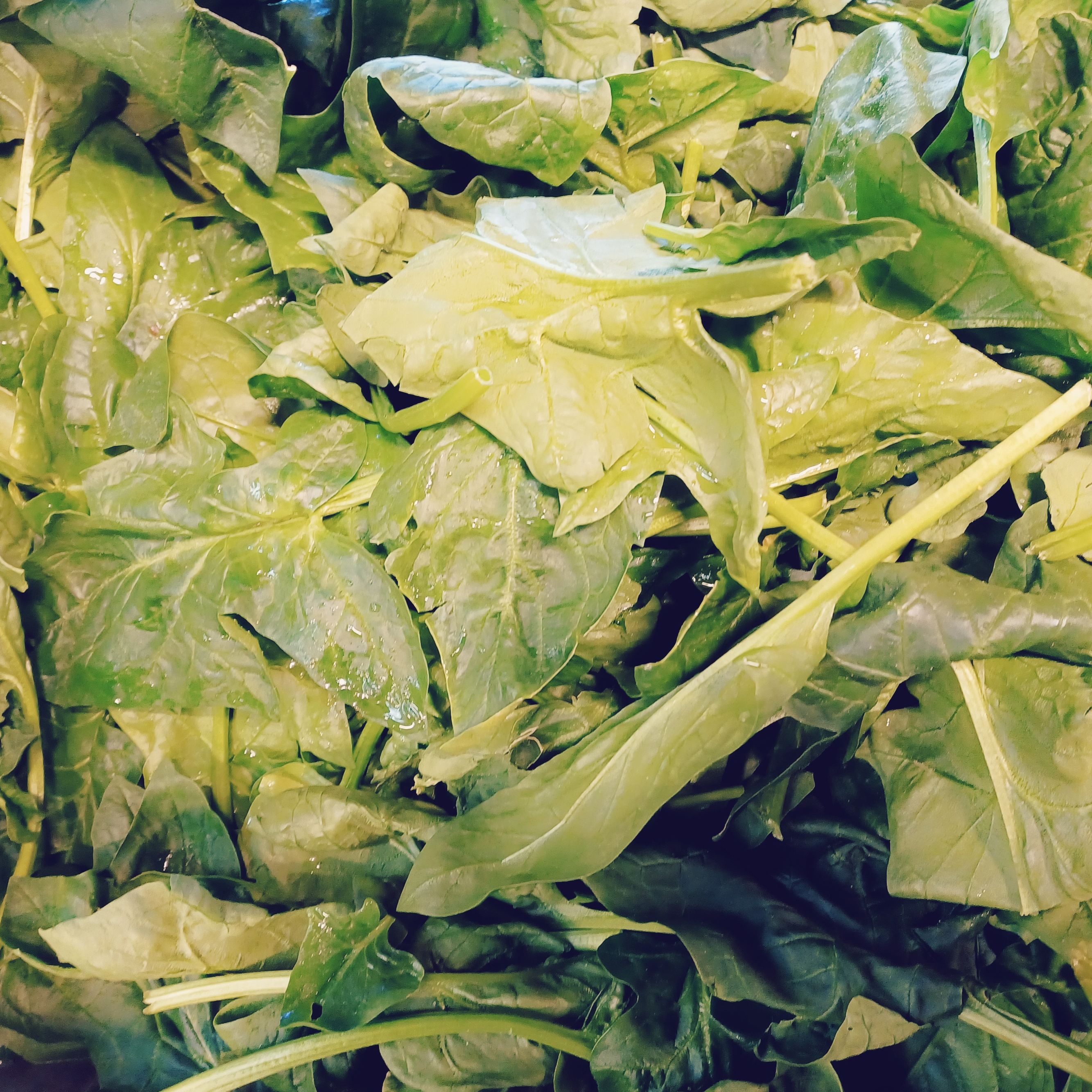 Épinard - CHAMP DES PAPILLES - 300g