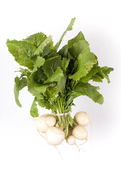 Navet Violet Nouveau Botte