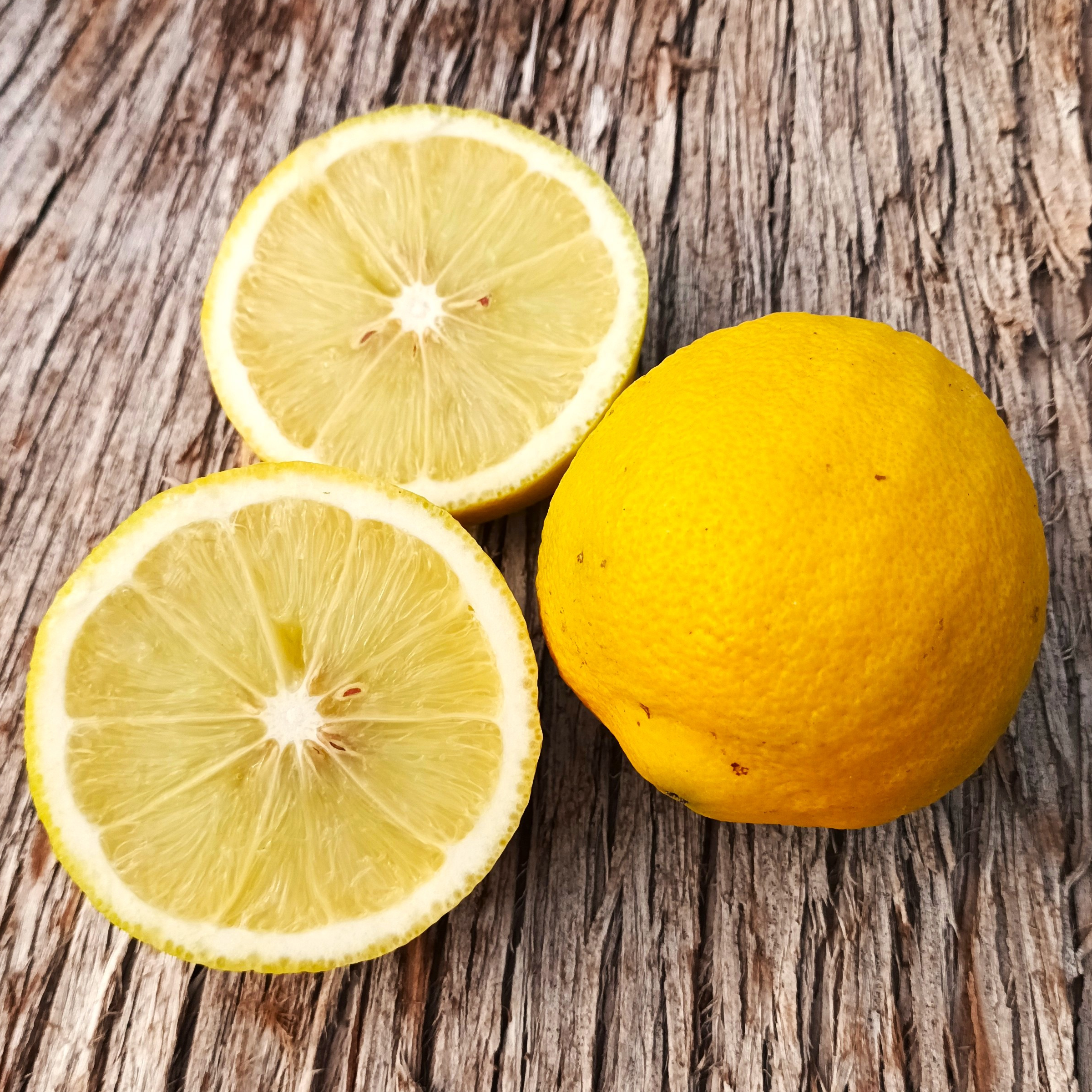 Bergamotier Fantastico - 3l