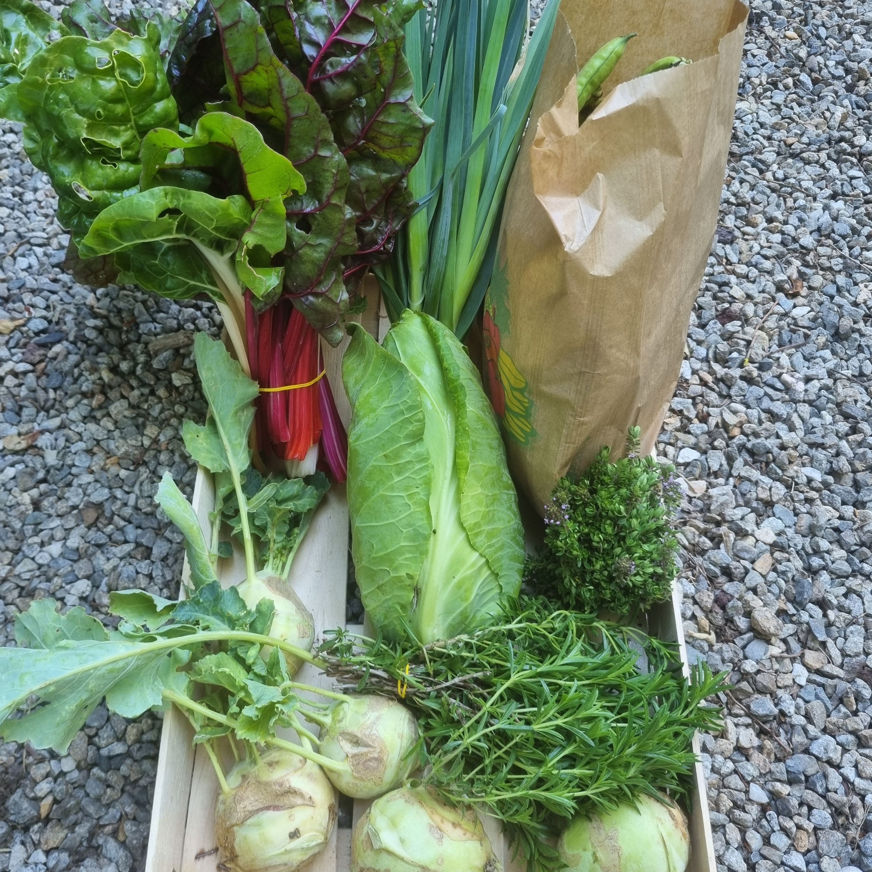 Panier de légumes de saison 15€