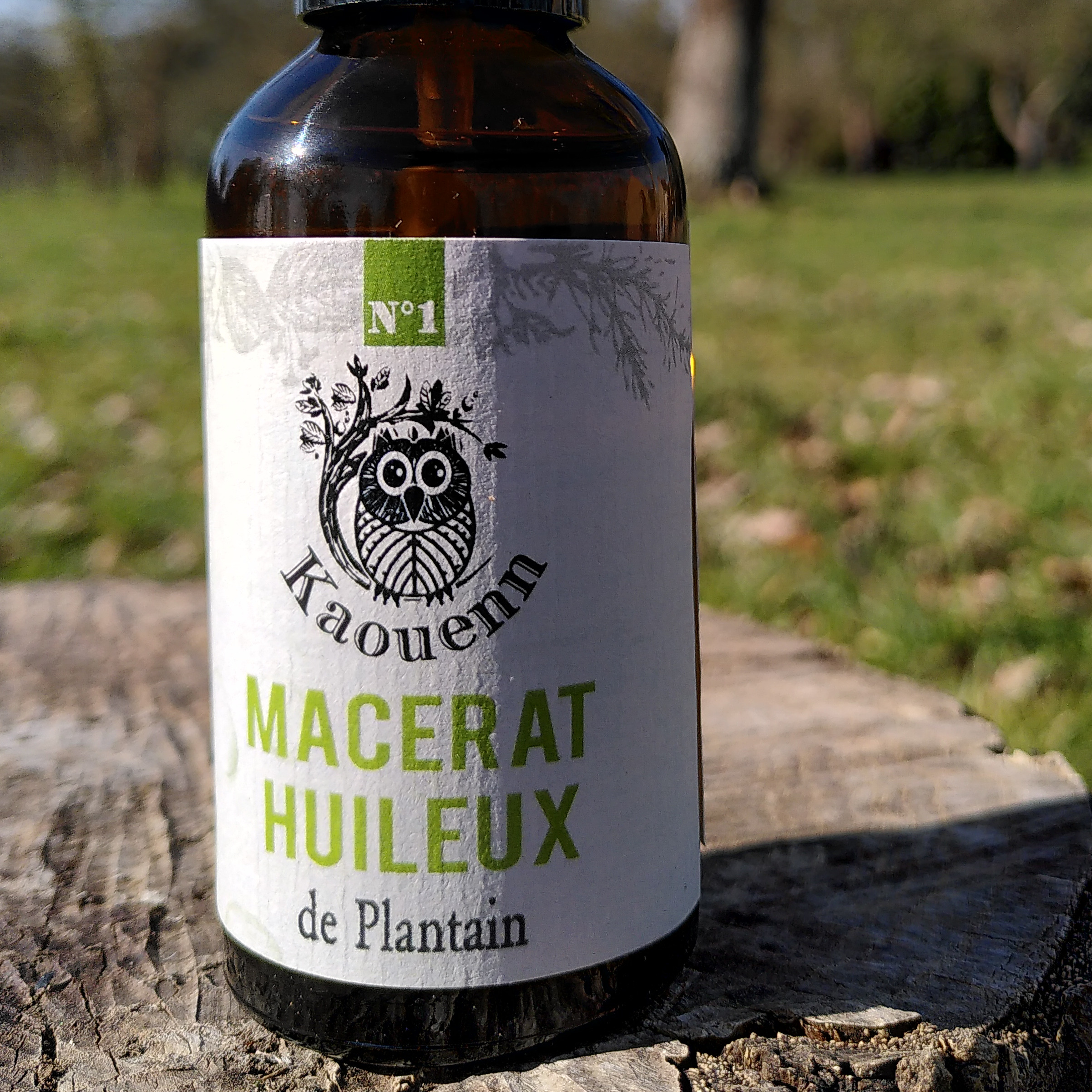 MACÉRAT HUILEUX DE PLANTAIN - 50ml