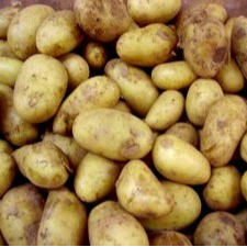 Pomme de terre Primeur Starlette - 400g