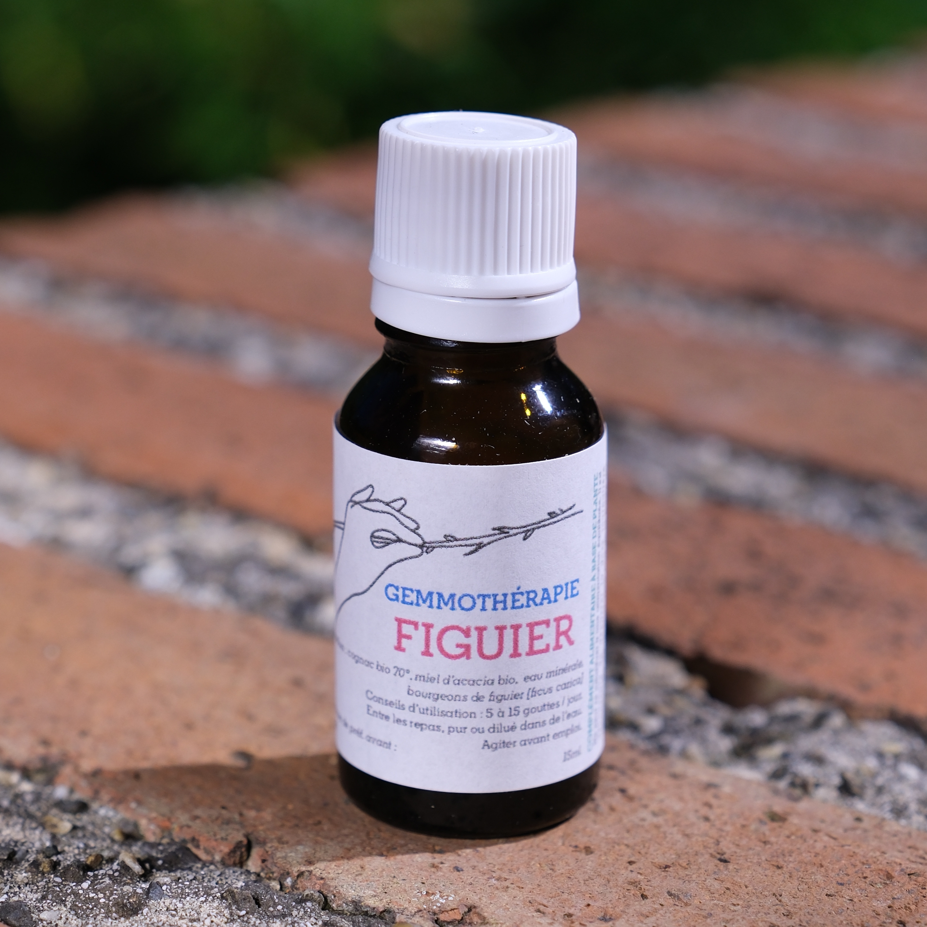 Figuier • Stress, Sommeil & Digestion - 15ml