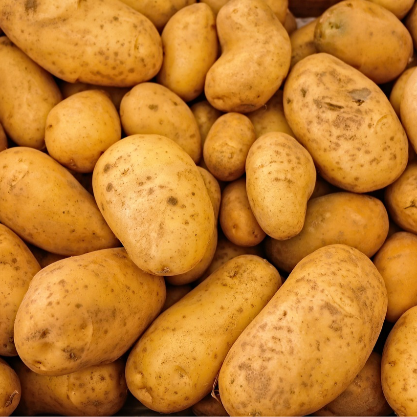 Pomme de terre - 1kg