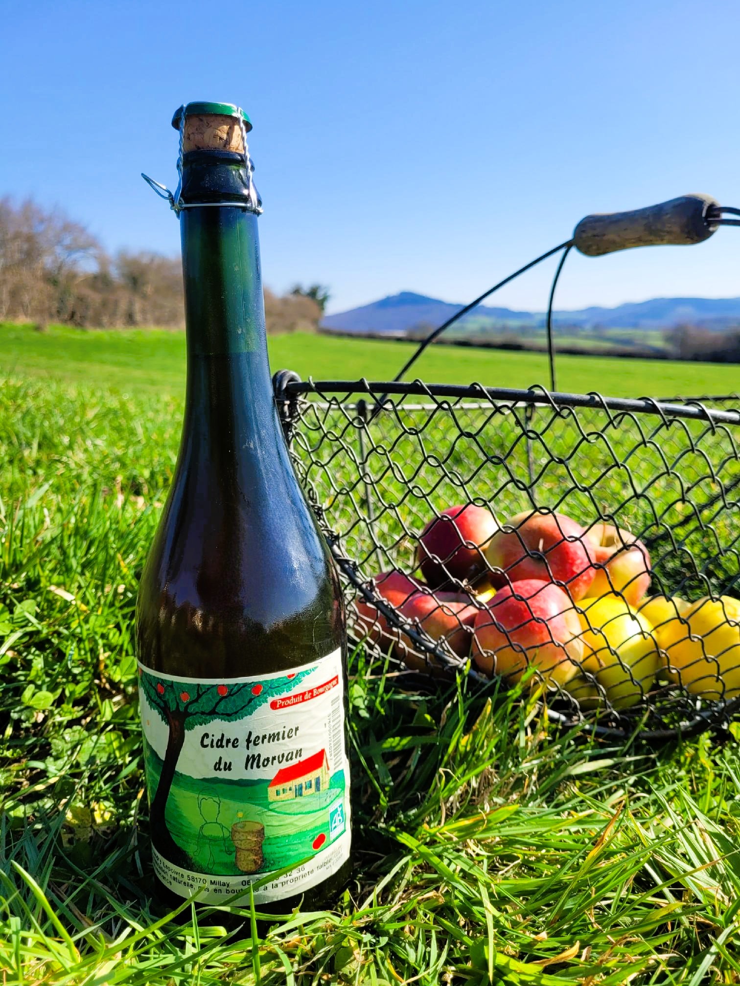 Cidre - 75cl
