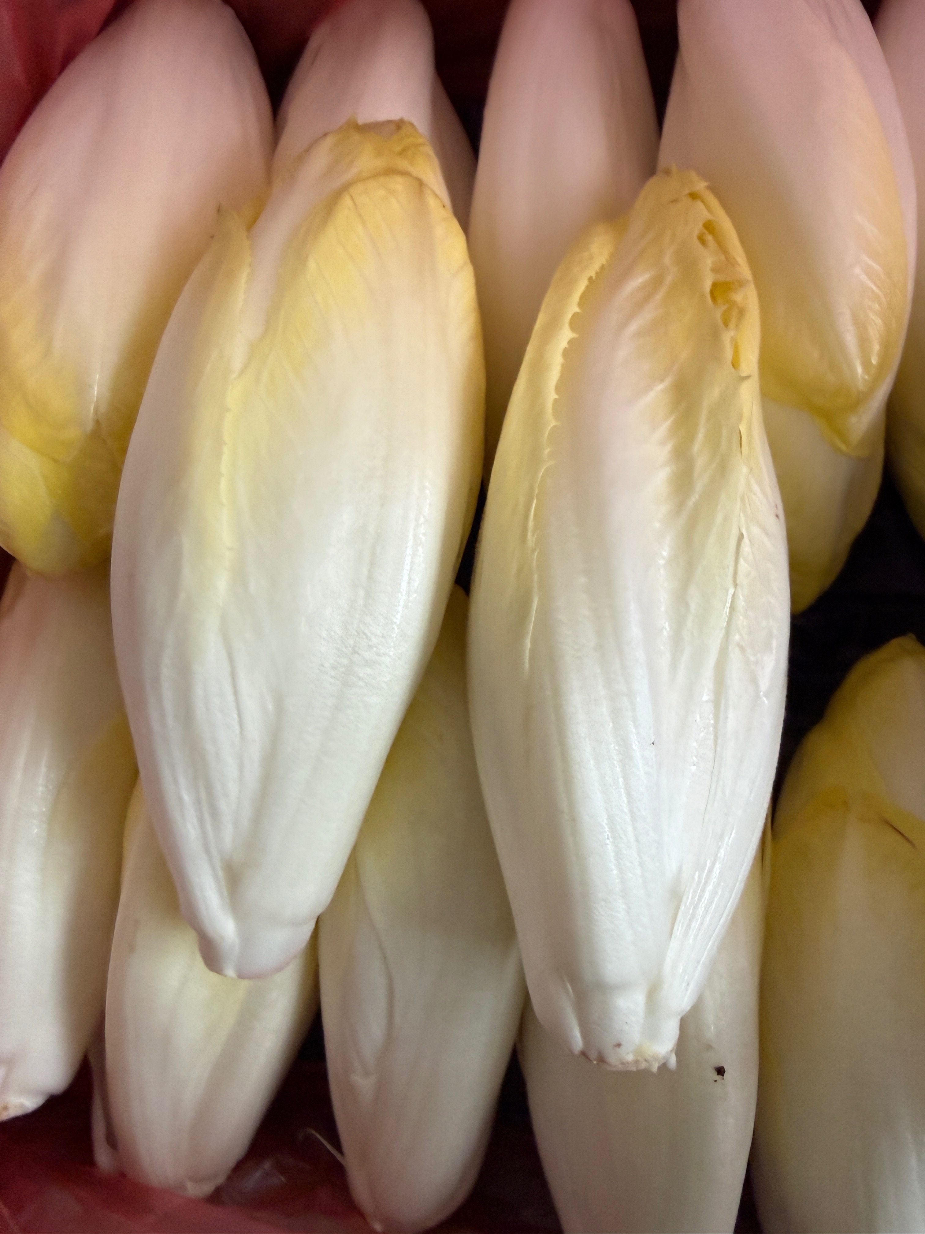 Endive extra 1 kg