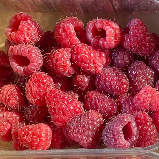 Framboise barquette - 125g
