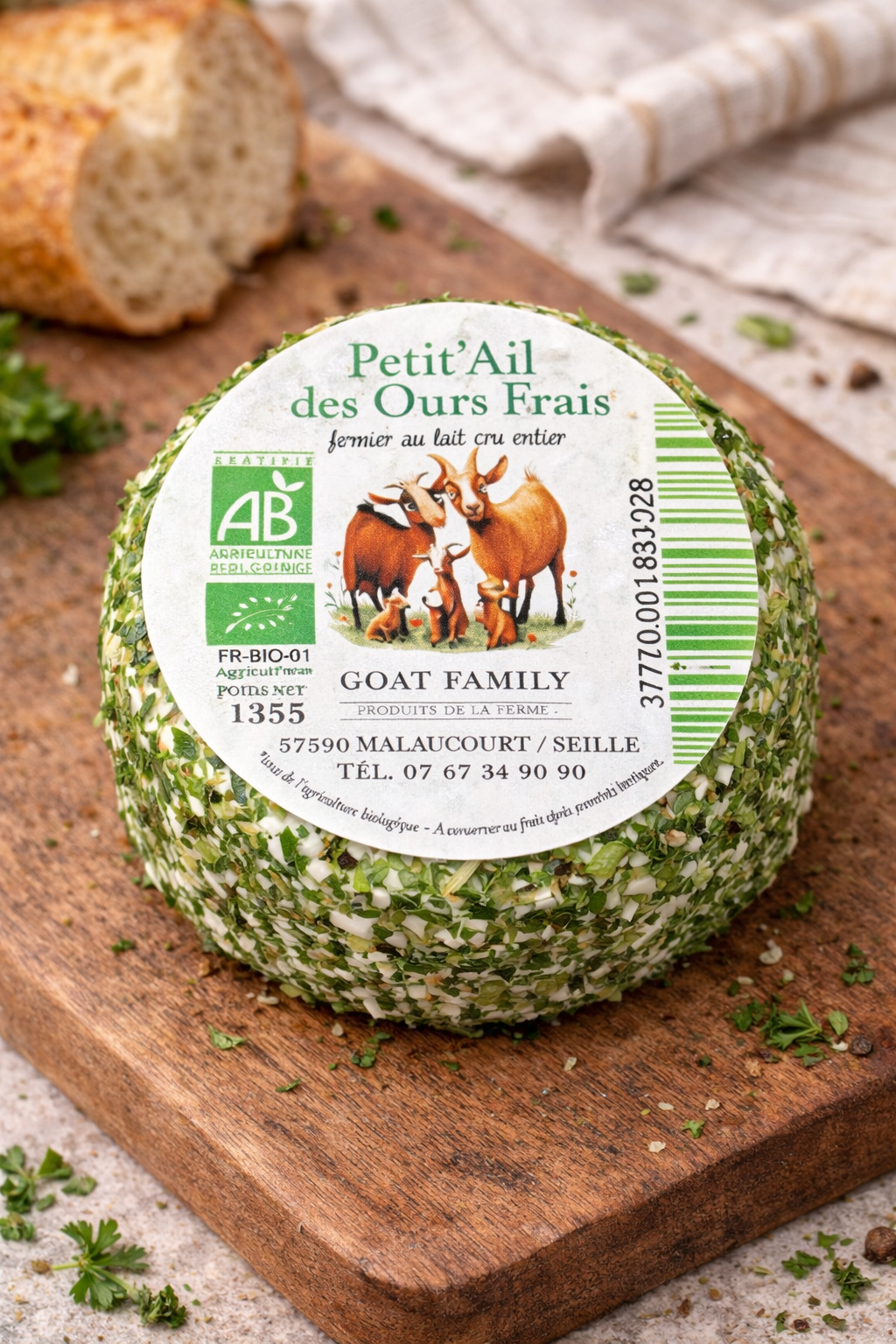 Petit chèvre Ail des Ours