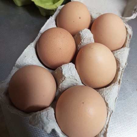 6 oeufs bio Champbalay