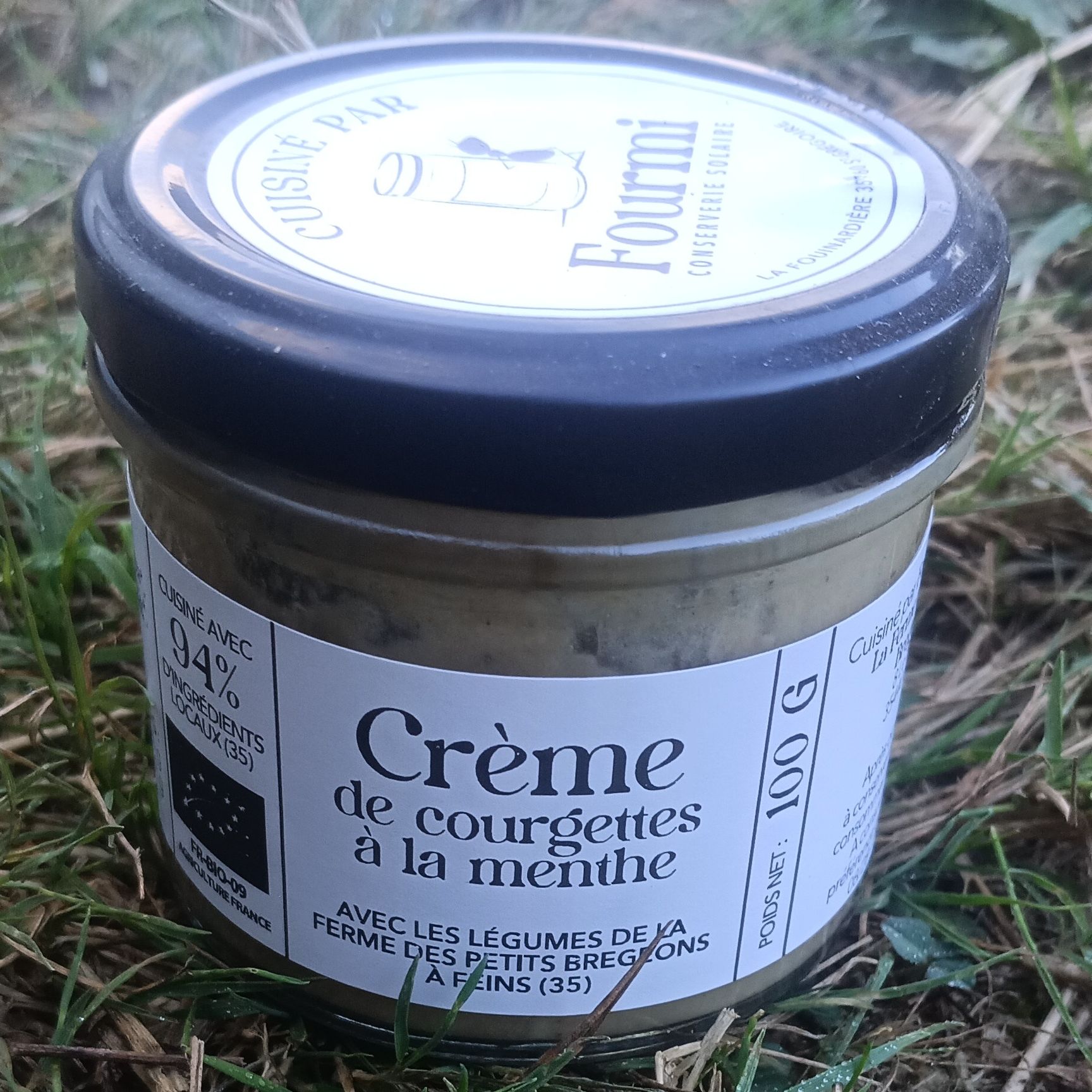 Crème de Courgettes et Menthe