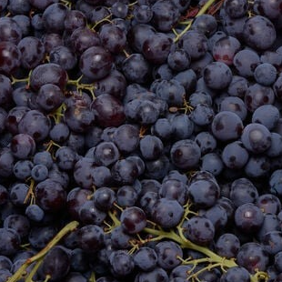 Raisin noir Ribol - 400g
