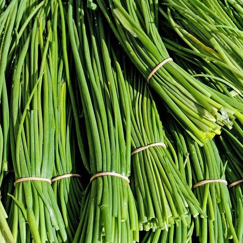 Ciboulette fraîche – fine, parfumée, irrésistible - 50g