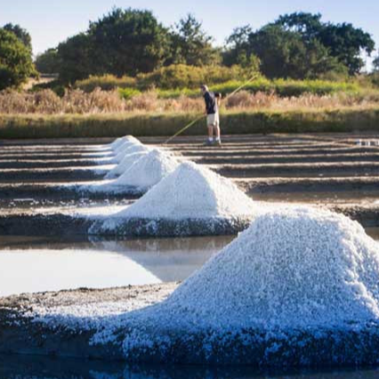 Sel de guérande