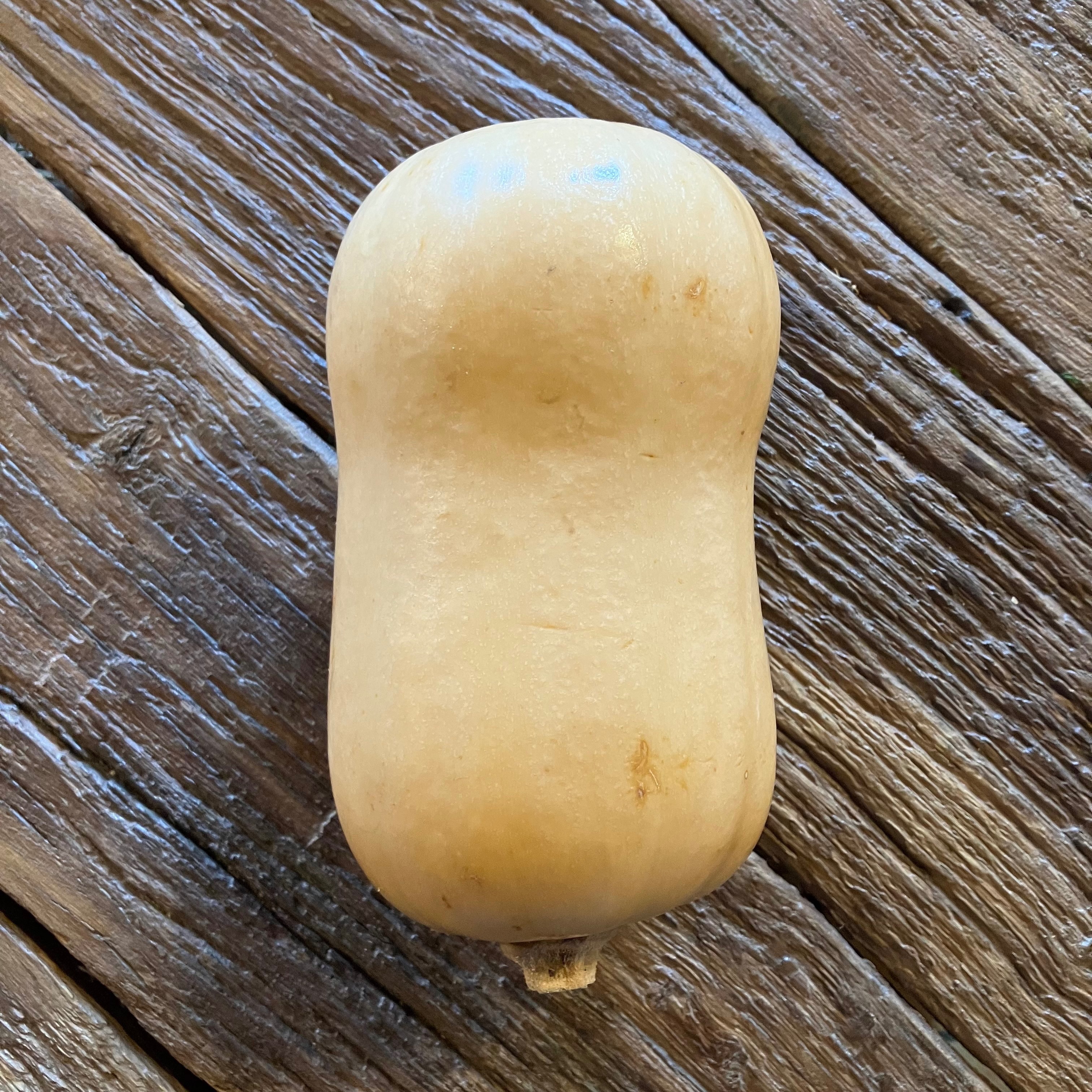 Courge Butternut vrac (marché)
