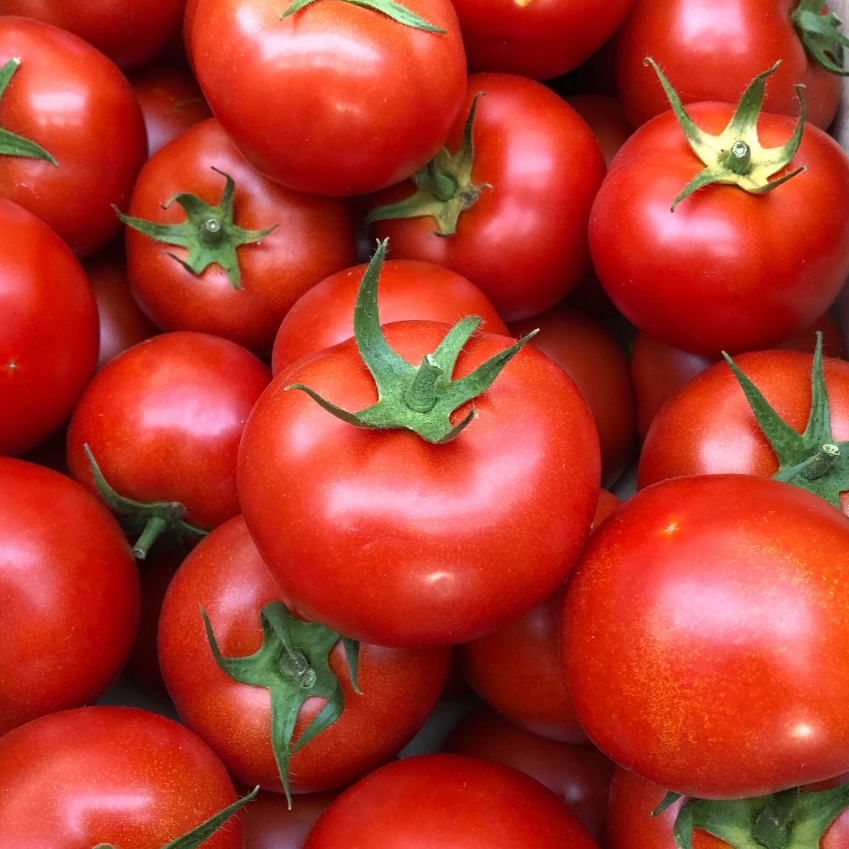 Tomate ronde