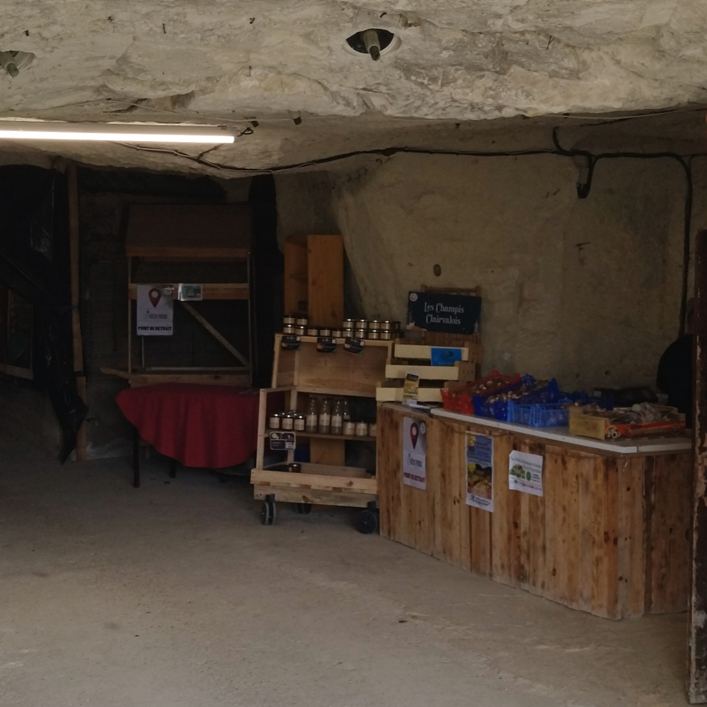 Visite de la cave - adulte