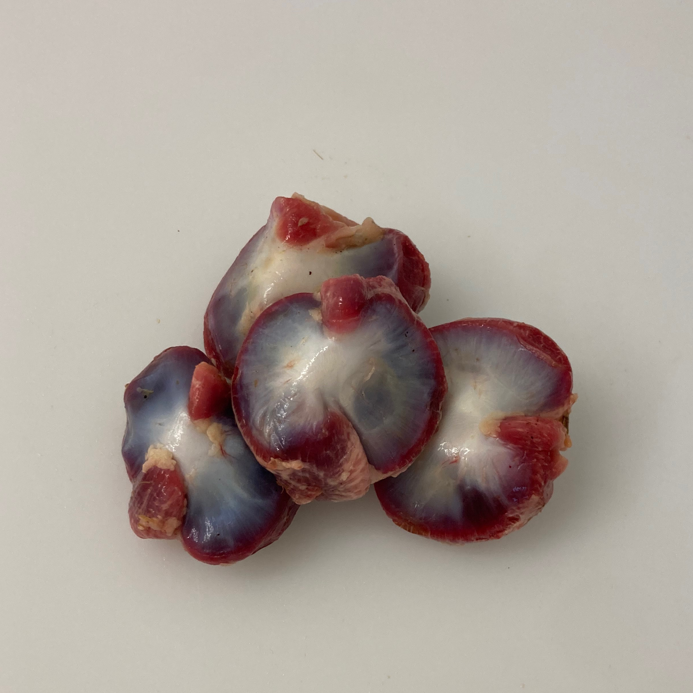 Gésiers de volailles