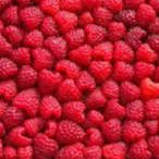 Barquette De Framboises - 0,25kg
