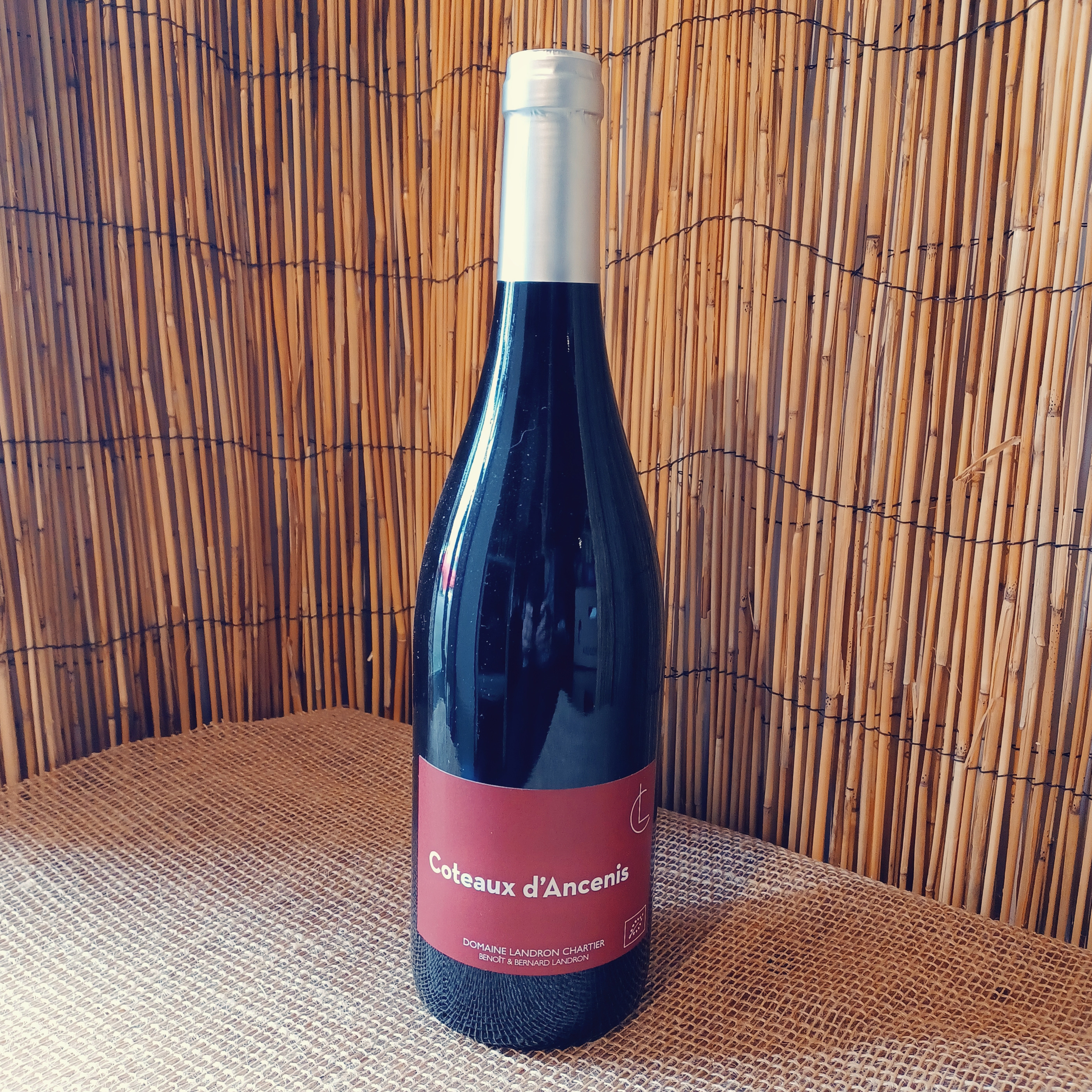 Gamay Révélation Côteaux Ancenis - 0,75l