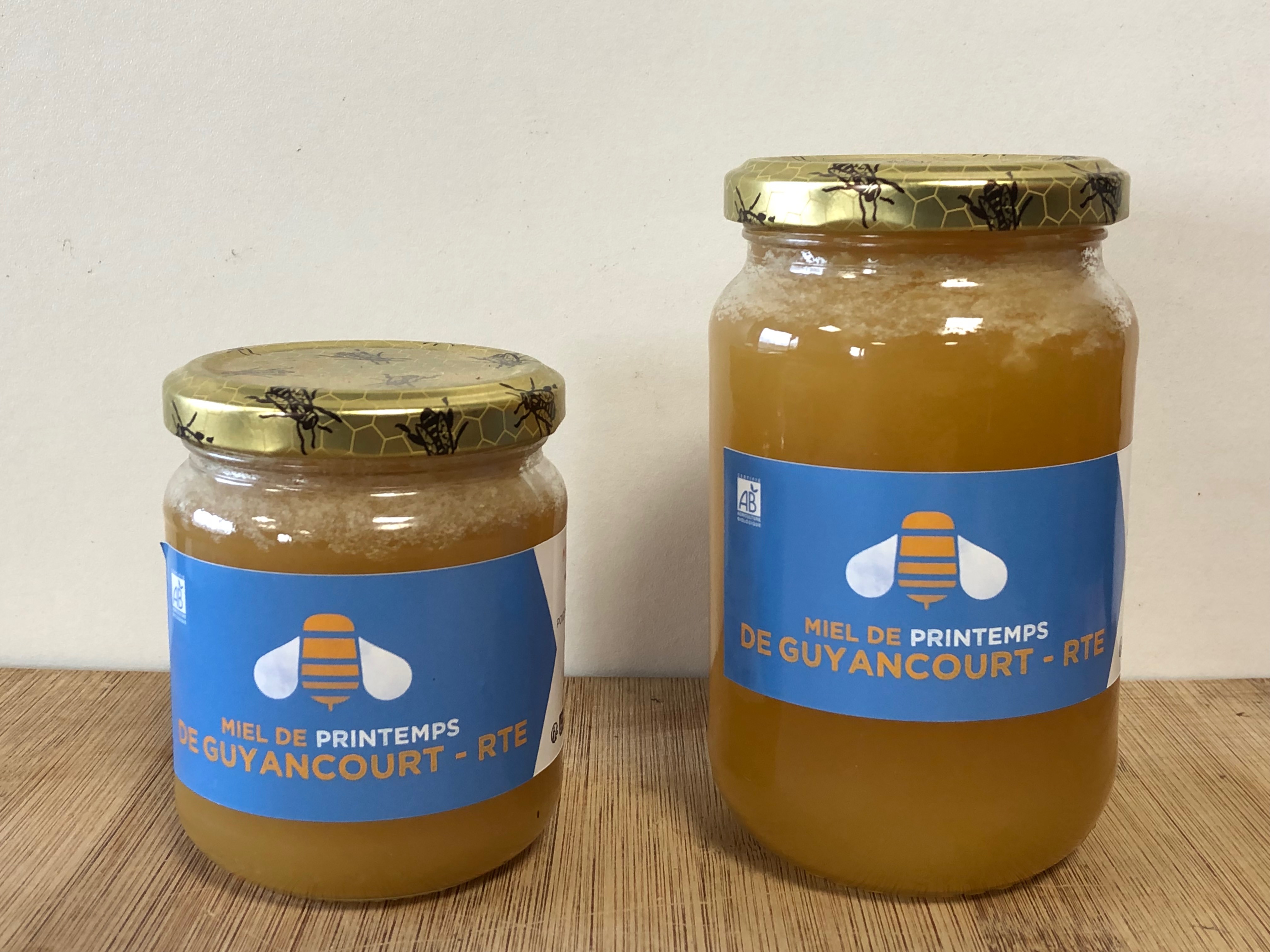 MIEL DE RTE (Guyancourt) - Fleurs de PRINTEMPS