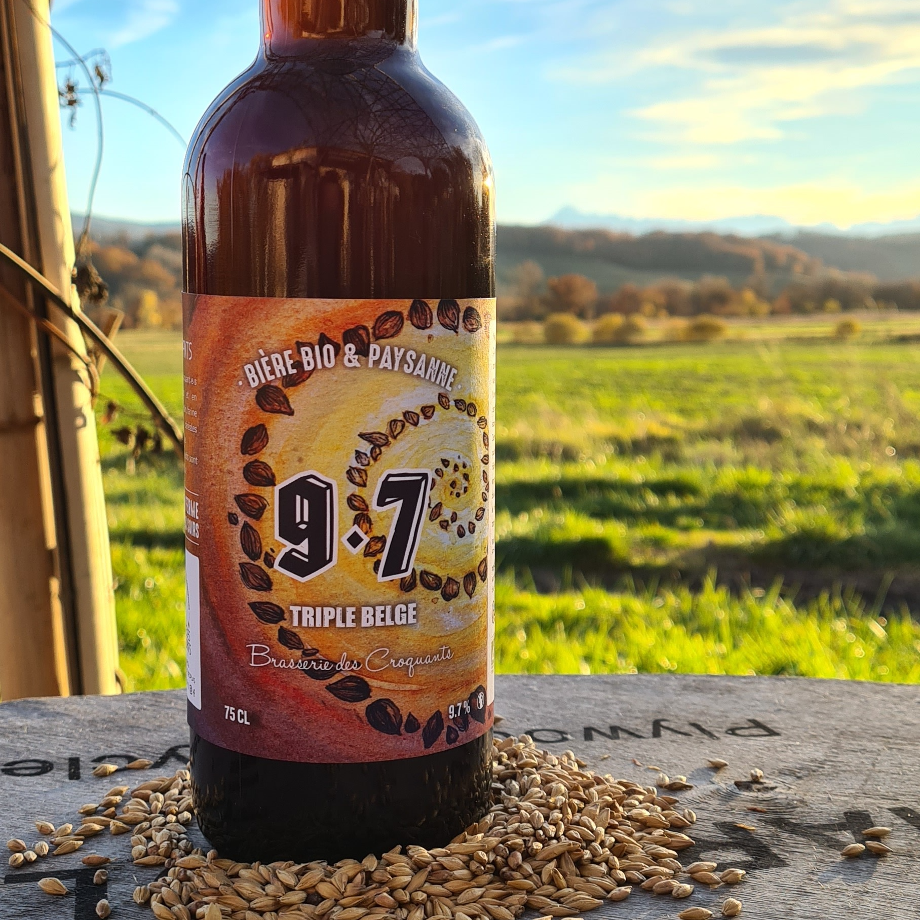 Ambrée triple belge - 9•7