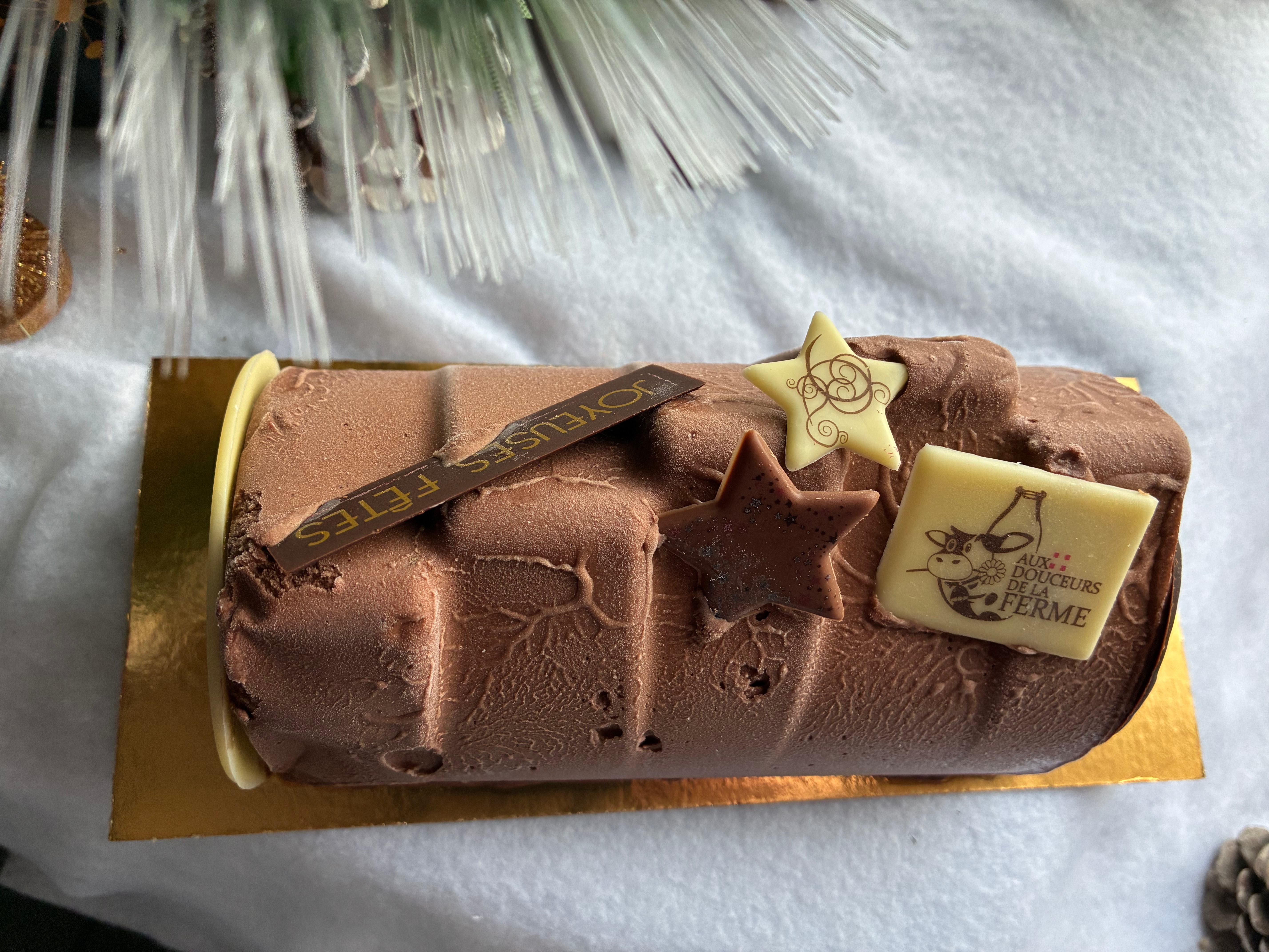 Bûche Glacée CHOCOLAT / NOIX DE COCO  (5/6 parts)