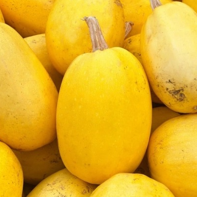 Courge Spaghetti