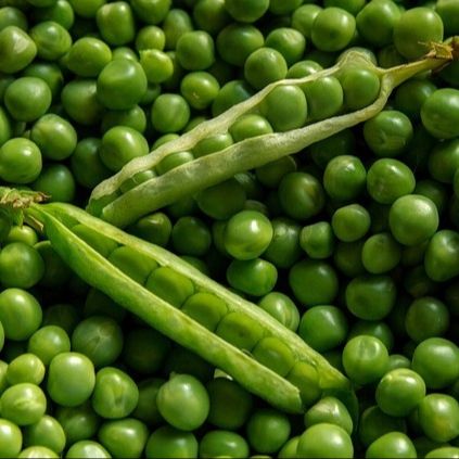 Petits pois gousse CDP - 500g