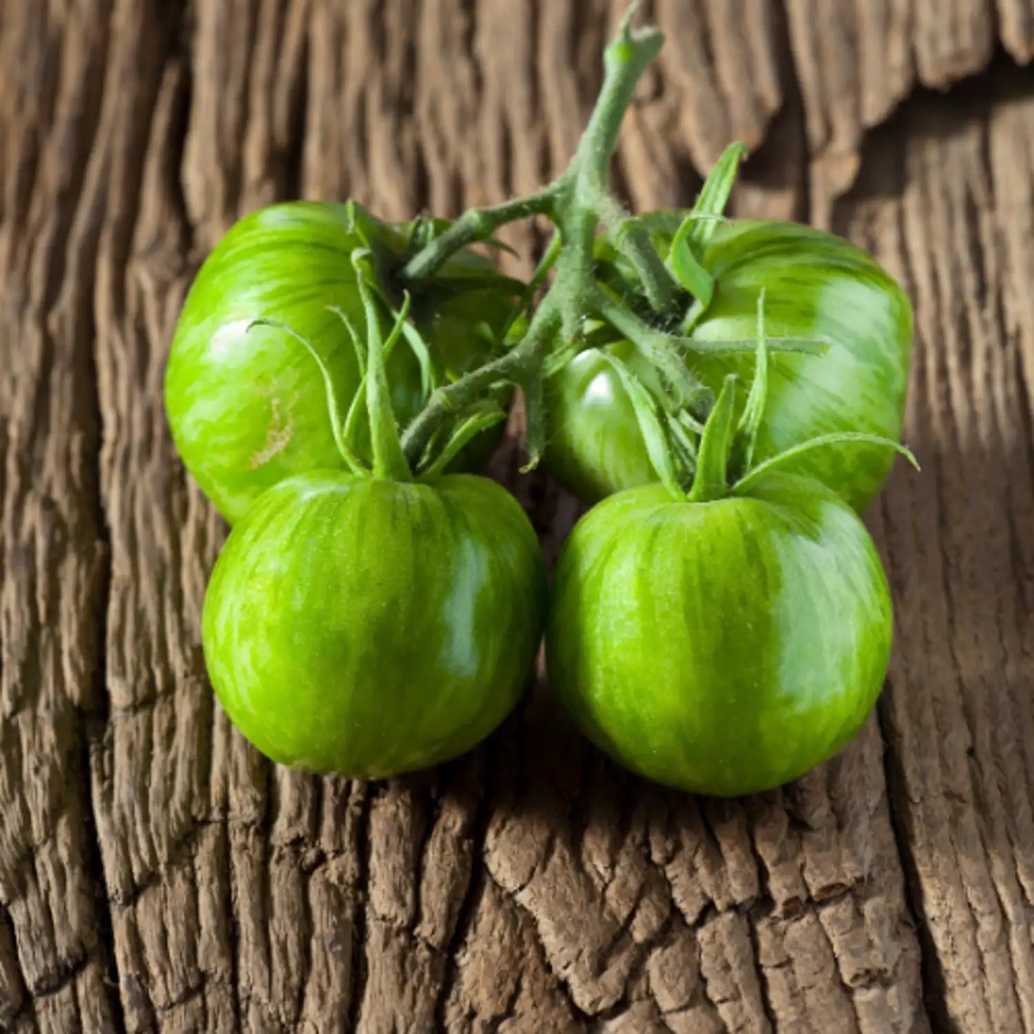 TOMATE Green Zebra Bio