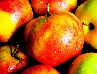 Pommes Gala
