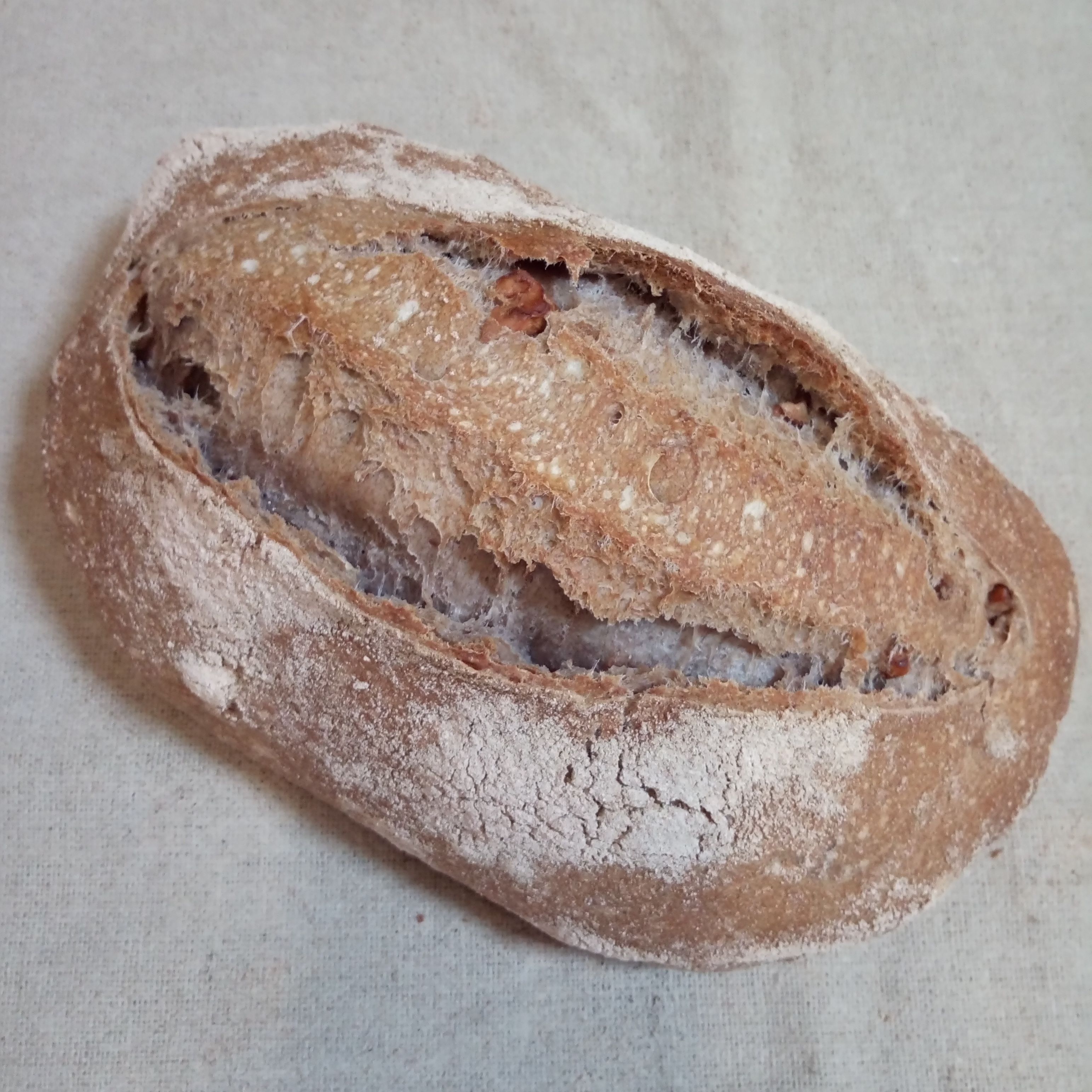 Pain aux Noix