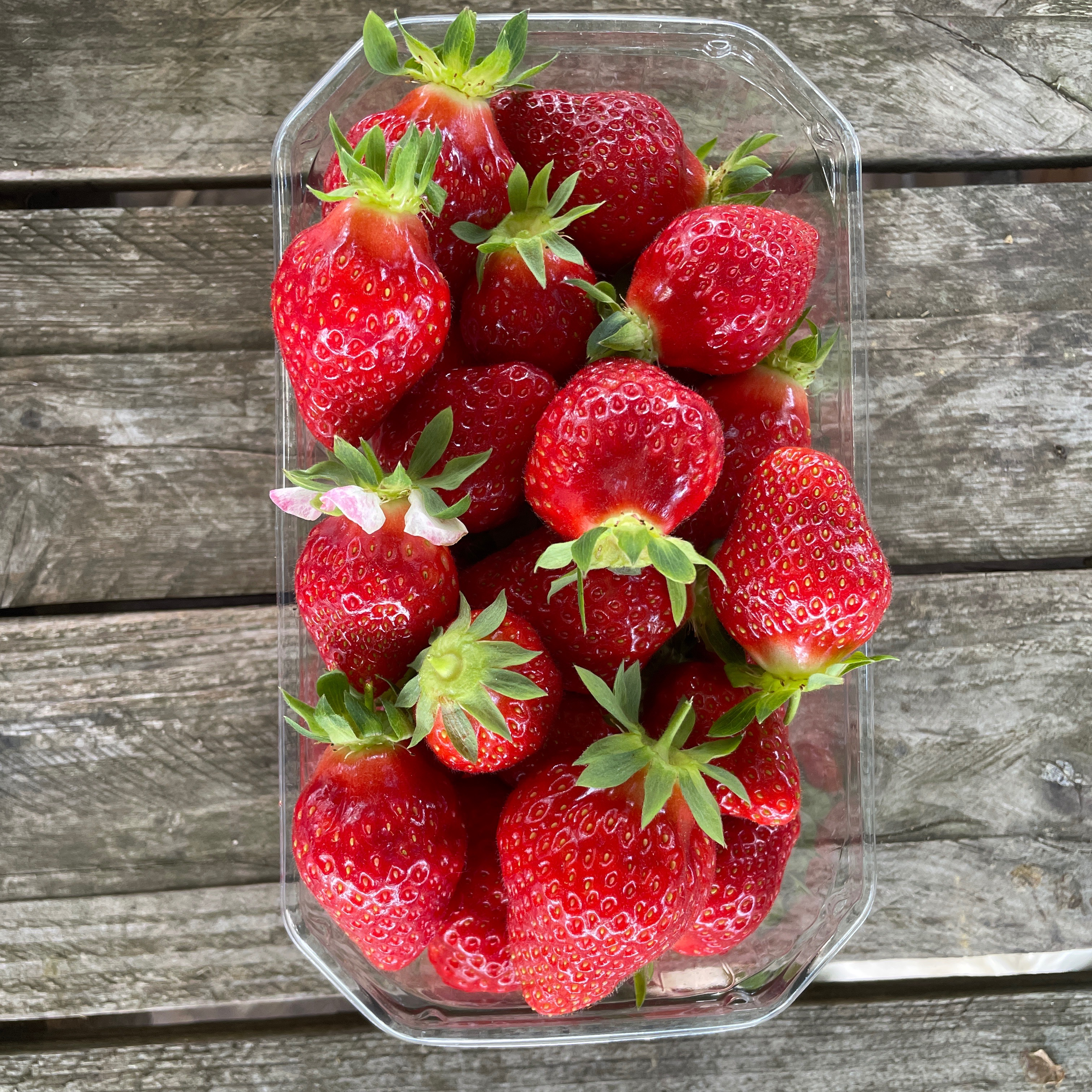 Fraise barquette 500g - 500g