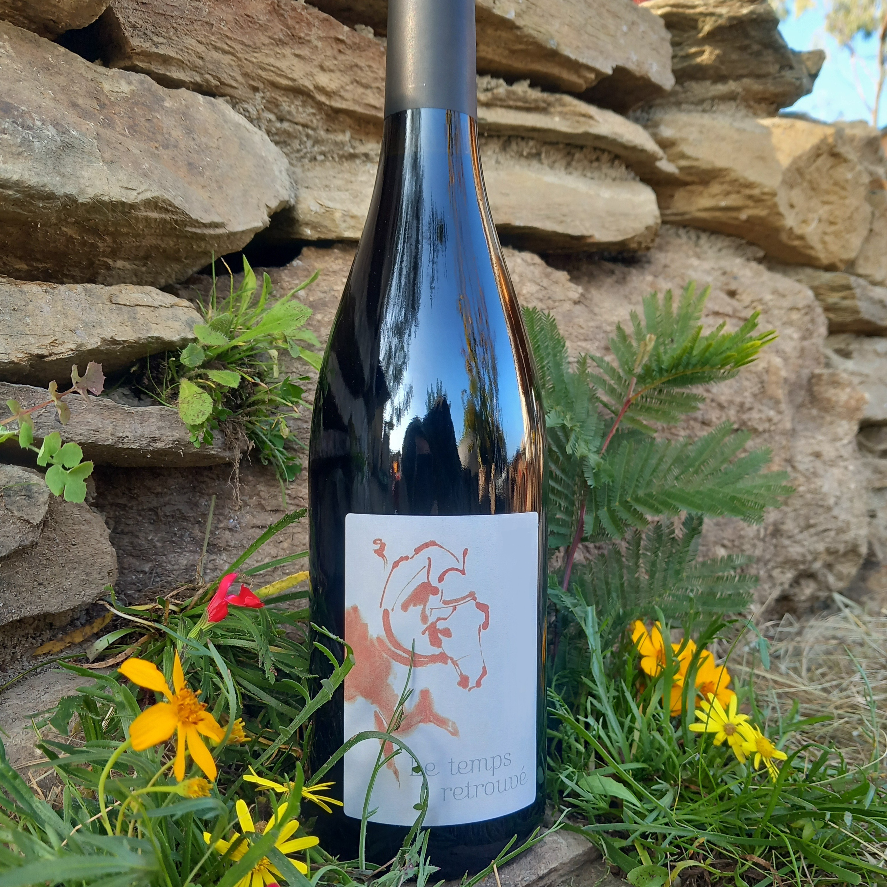 Coteau Libre Rouge Millésime 2018