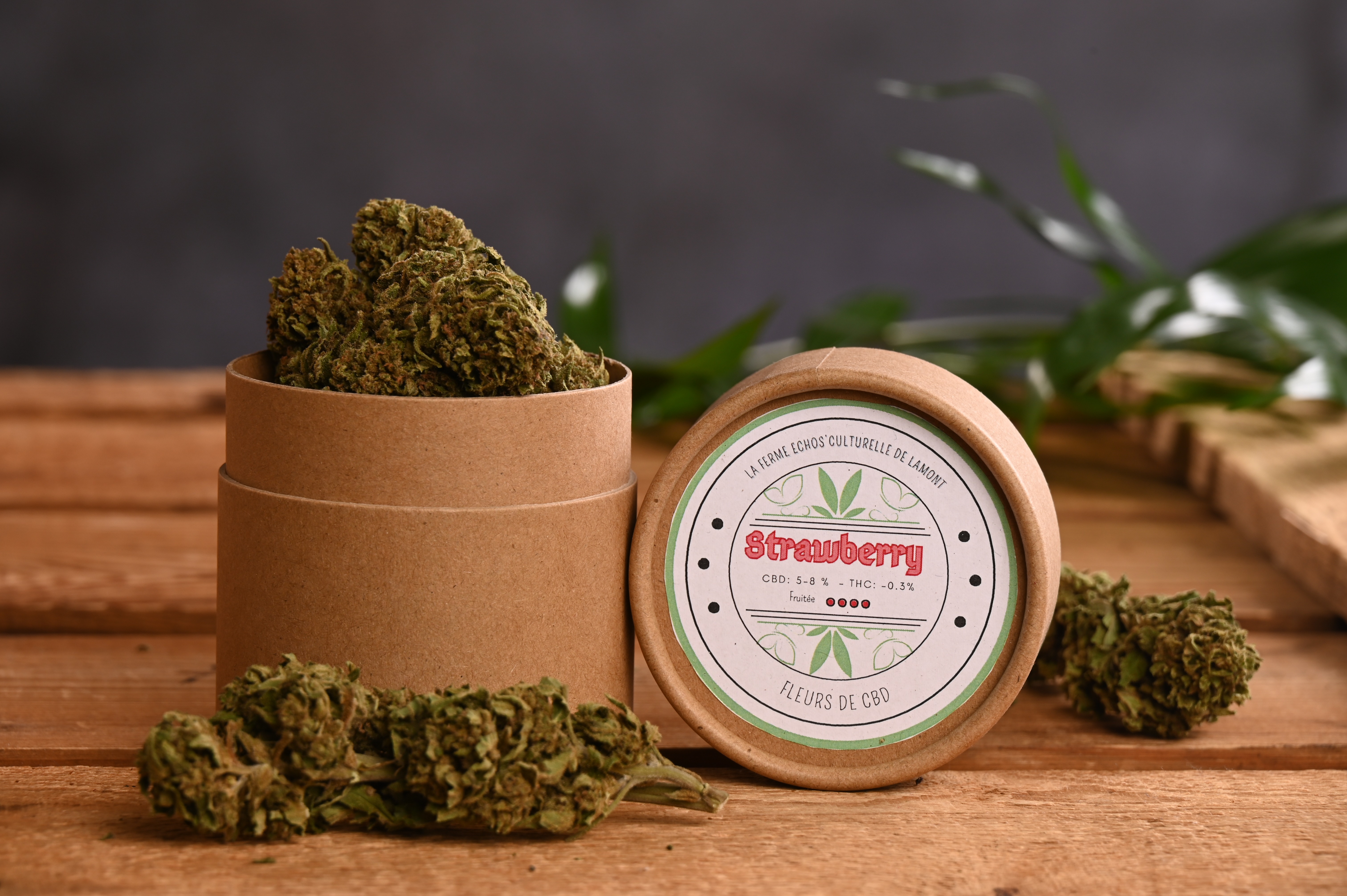 Fleurs de CBD Strawberry