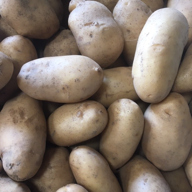 Pomme de terre Blanche - 25kg