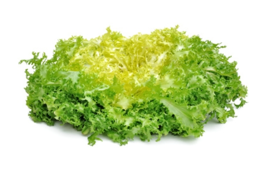 Salade Frisée Primafine