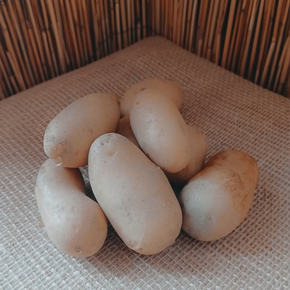 Pomme De Terre CHAIR FERME - CDP