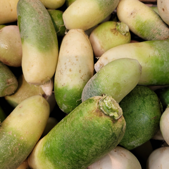 Radis Green Meat