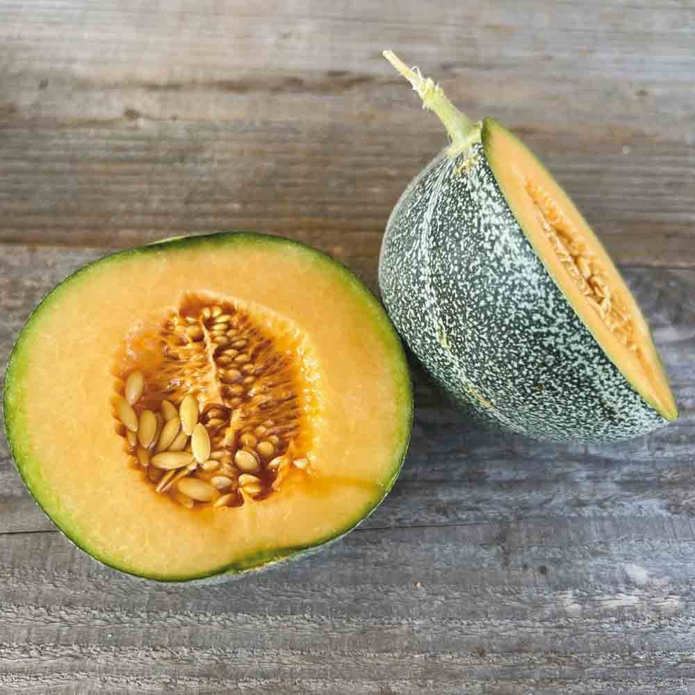 Melon