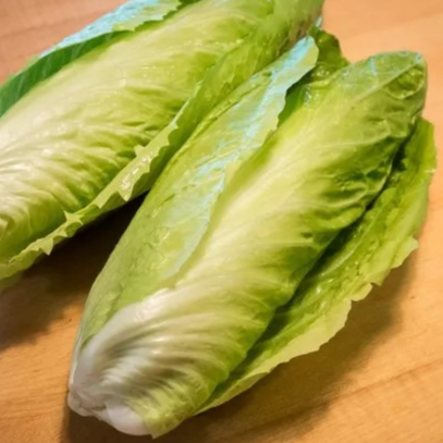 SALADE CHICORÉE PAIN DE SUCRE