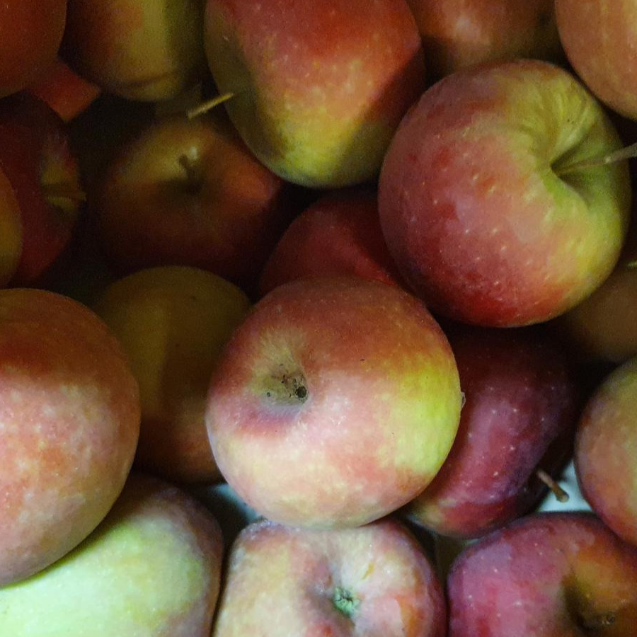 Pomme Dalinette bio et demeter 6kg