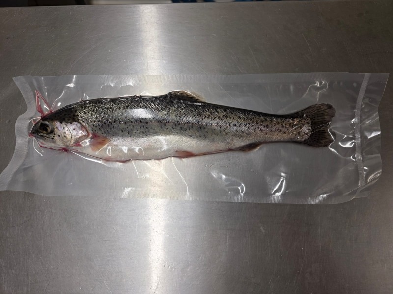 Truite arc en ciel portion sous-vide - 250g