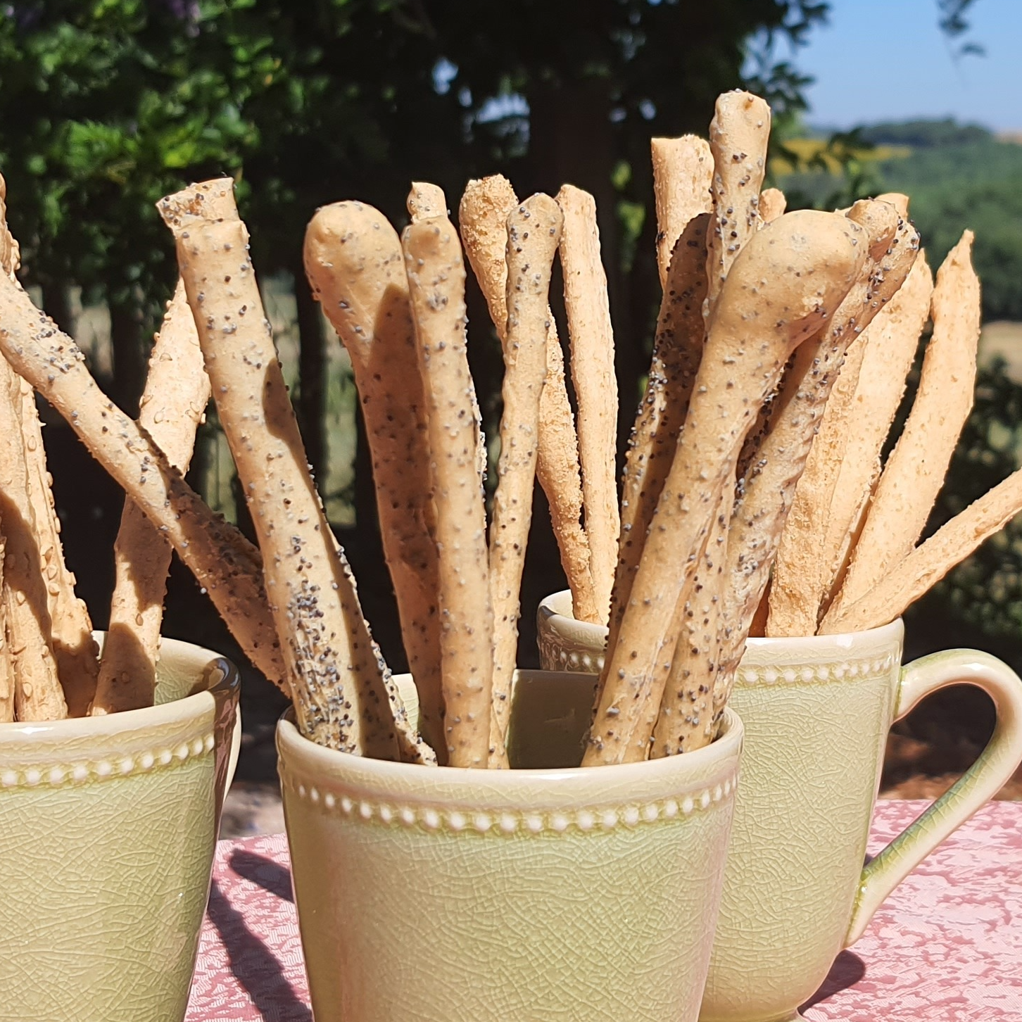 Grissini au pavot - 150g