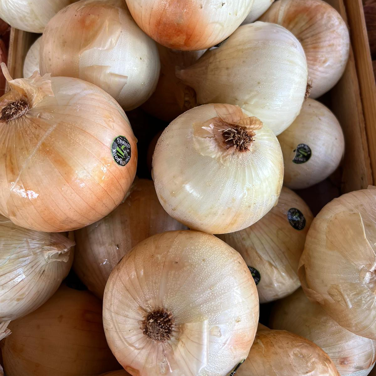OIGNON DOUX DES CEVENNES