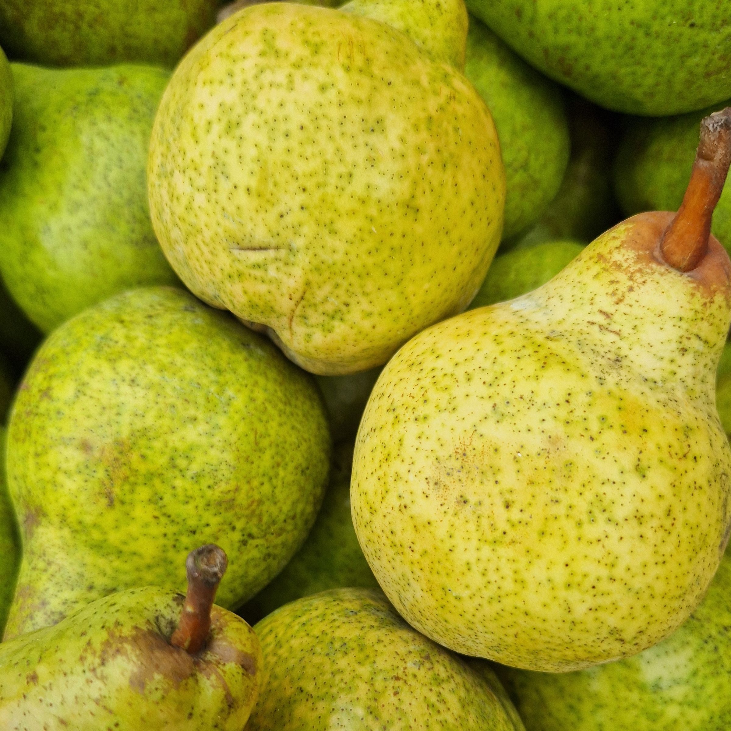 POIRE