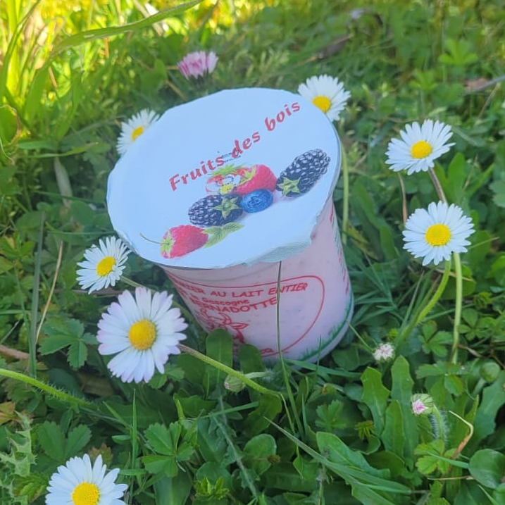 YAOURT AUX FRUITS DES BOIS - 12cl