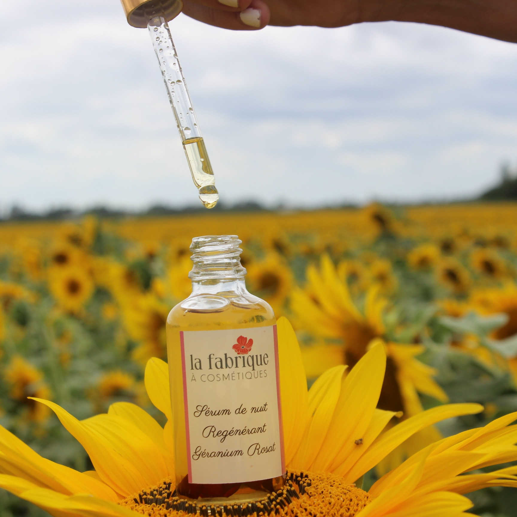 Sérum de nuit - Regénérant - 50ml