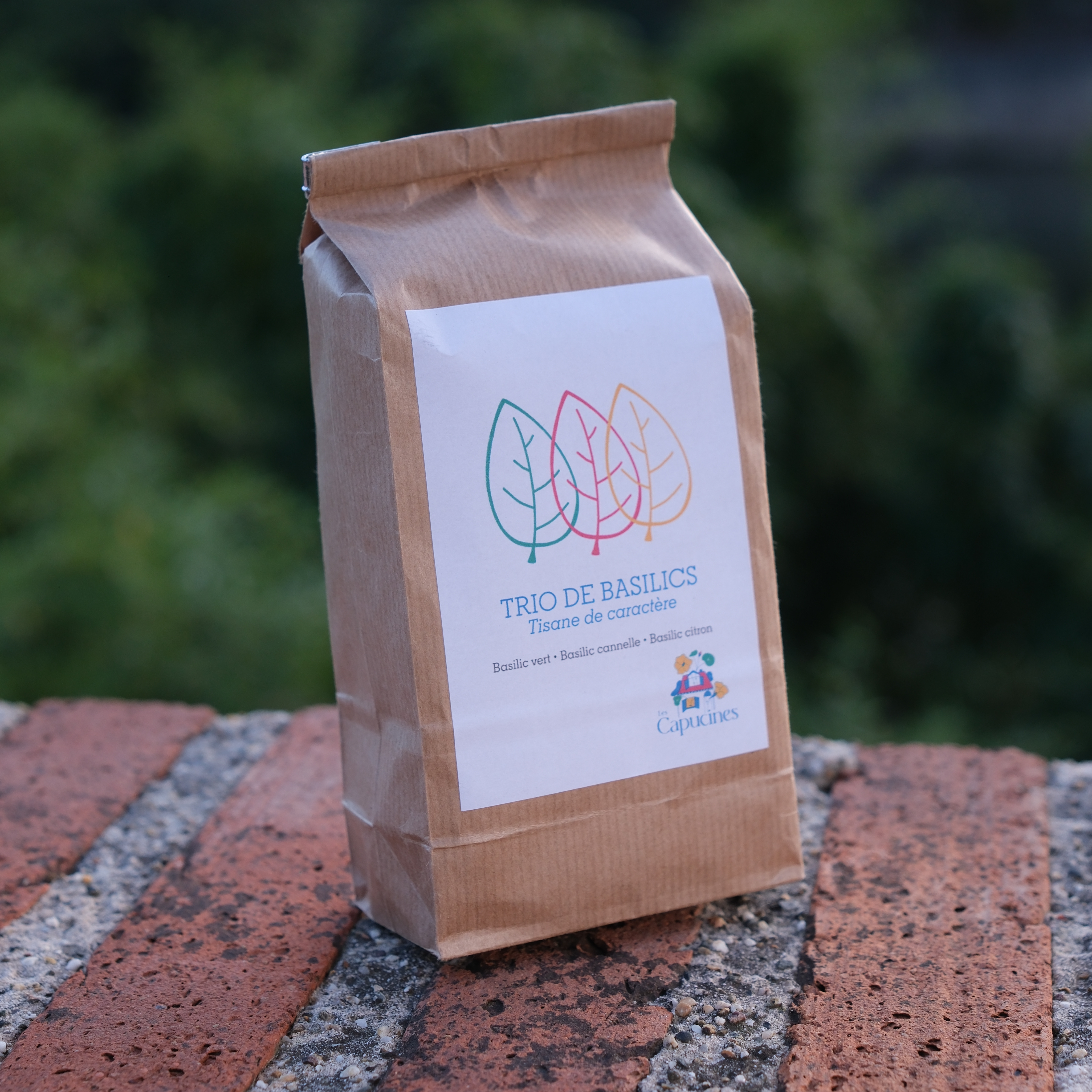 Trio de basilics • Tisane de caractère - 30g