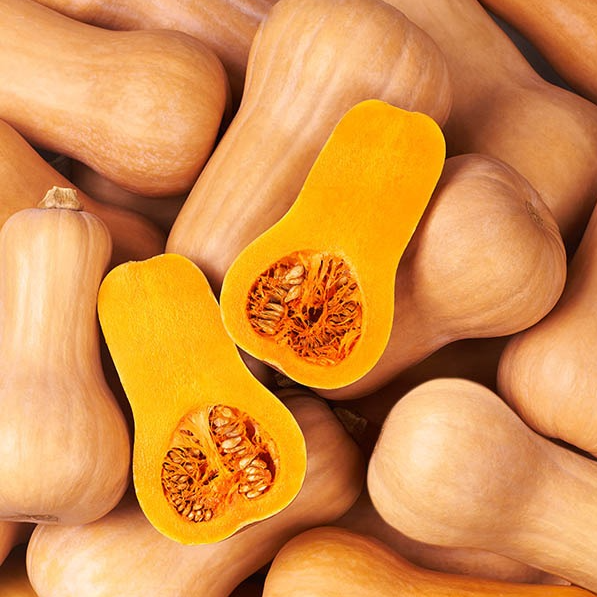 Courge Butternut