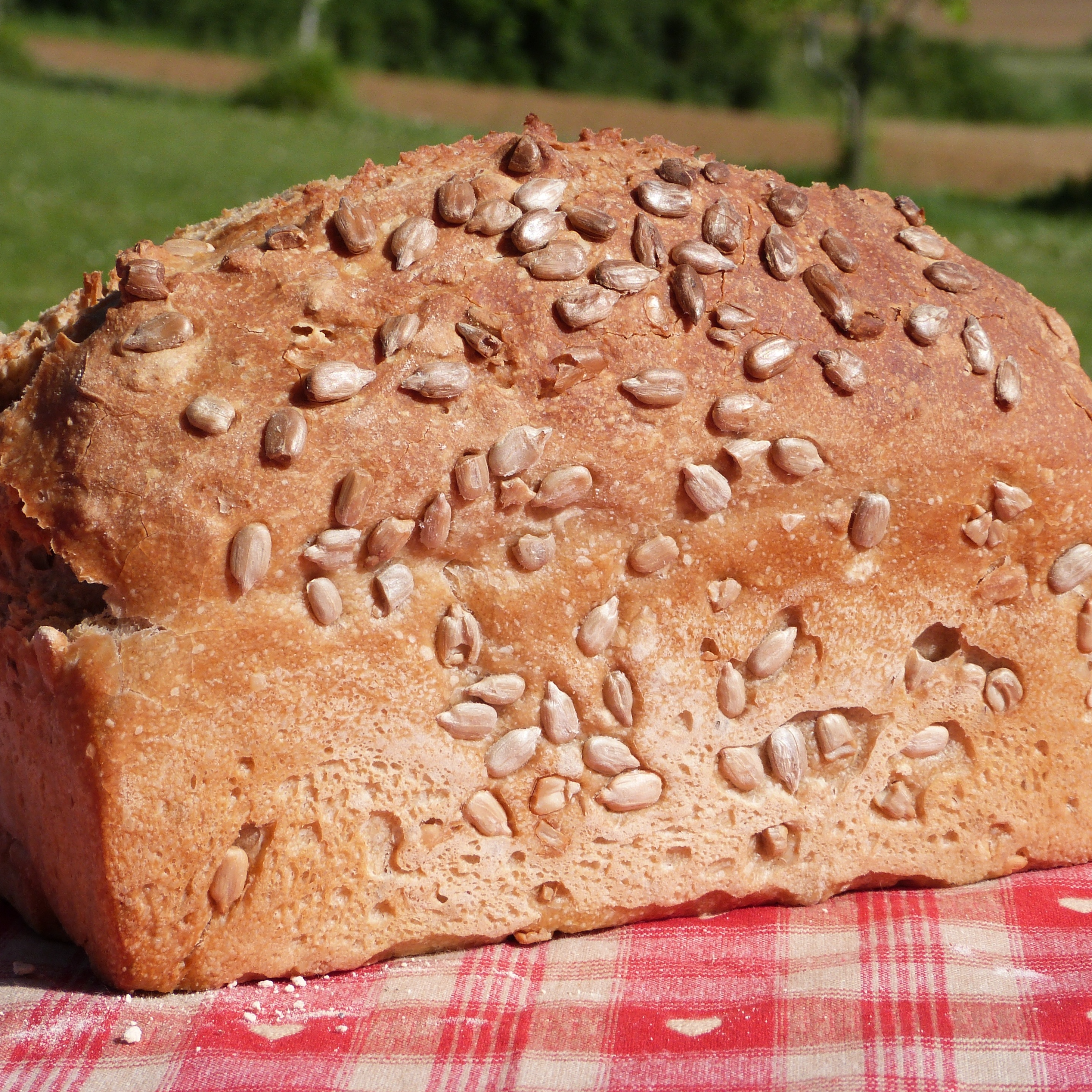 Pain aux graines de tournesol